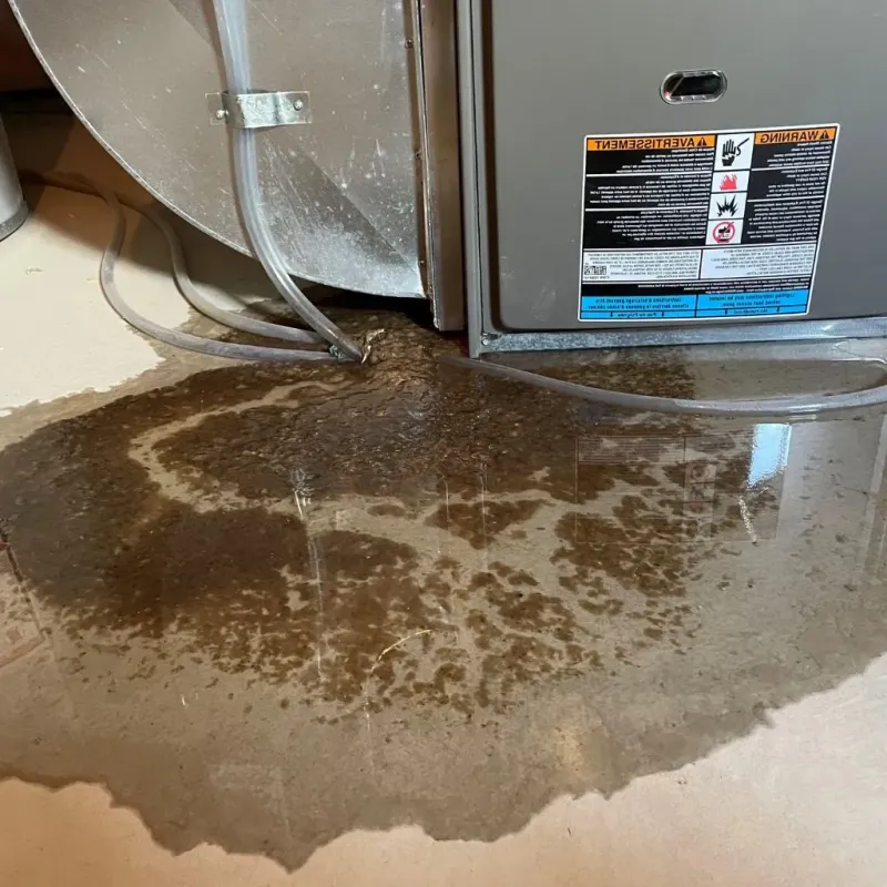 Pipe Burst and Leak Restoration in Oklahoma County, OK